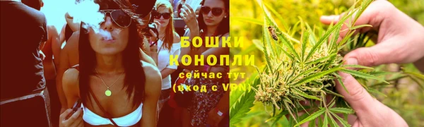 индика Дмитриев
