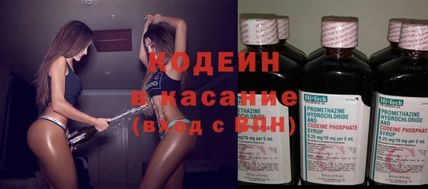 индика Дмитриев