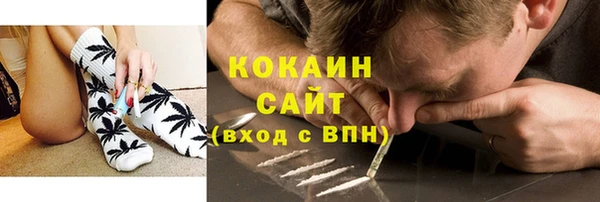 индика Дмитриев
