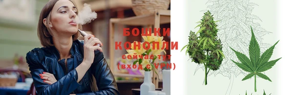 ешки Дмитровск