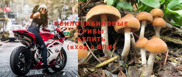 гашик Елабуга