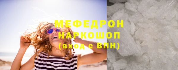 индика Дмитриев