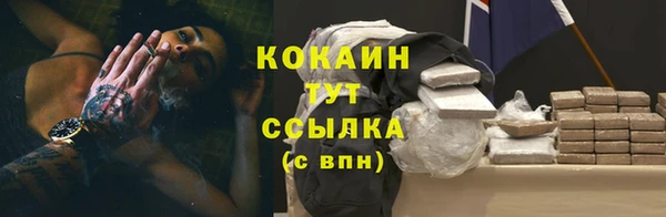 индика Дмитриев