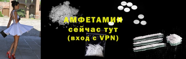 молекула духа Ельня