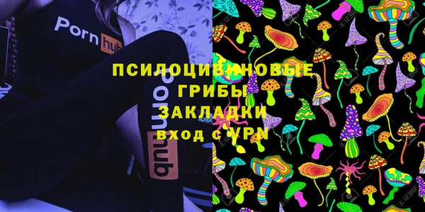 молекула духа Ельня