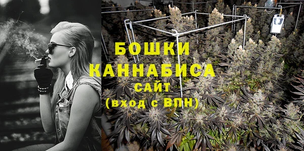 молекула духа Ельня