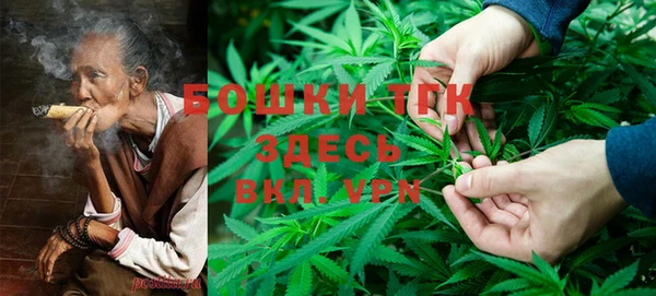 индика Дмитриев