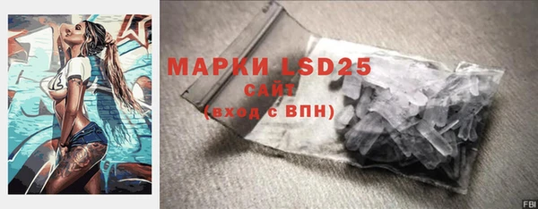 индика Дмитриев