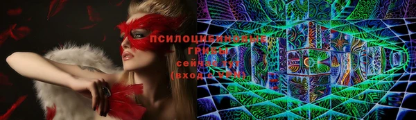 индика Дмитриев