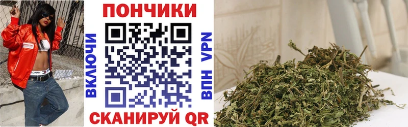 МАРИХУАНА гибрид Курчатов